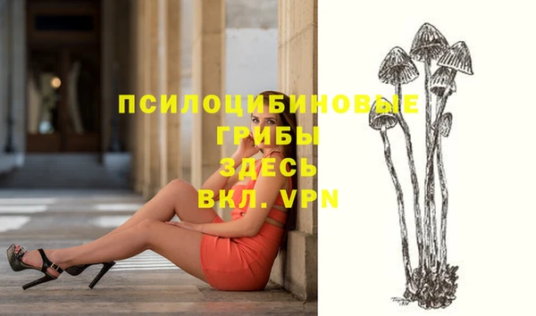 тгк Алексеевка